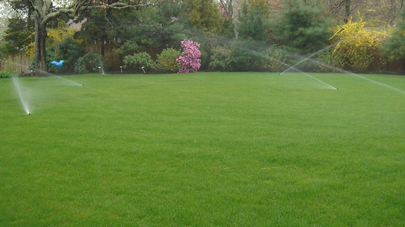Landscape Maintenance Service